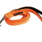 Buddy & Co. Nylon Dog Leash with Reflective Stitching for Nighttime Visibility (3/4-Inch Wide, 6ft Long) – Best for Small to Medium Dogs – Hot Orange Color