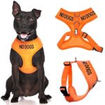 No Dogs Orange Not Good With Other Dogs Color Coded Alert Warning Waterproof Padded Adjustable Non Pull Front and Back Ring Medium Vest Dog Harness Prevents Accidents By Warning Others of Your Dog in Advance