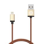 iPhone 6S Cable, Apple Certified F-color 3Ft 8 Pin Lightning Data Sync Charging Cable Braided for iPhone 6s 6s Plus 6 6 Plus 5 5s 5c, iPhone SE, iPad Pro, iPad Mini 4, iPad Air 2 mini, iPod 5, Gold