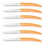 FlyingColors Steak Knife Set, Unique Design, Stainless Steel, Orange Color Handle