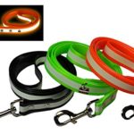 New Glow In the Dark Dog and Cat Safety Leash Lead, Durable Strong TPU Leash, Suitable for Small Medium and Large Cats or Dogs, Color Orange, By Downtown Pet Supply