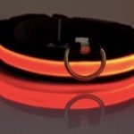 Dog Safety Night Collar, LED Neon Flashing and Solid, 6 Color options, Small,Medium, Large,X-Larger (large, orange)