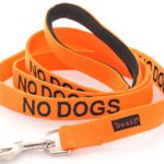 NO DOGS Orange Color Coded Nylon 4 Foot Padded Dog Leash (Not Good with Other Dogs), Prevents Accidents By Warning Others of Your Dog in Advance