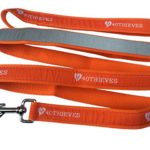 Y 40 THIEVES High Visibility Dog Leash, with Reflective Strip, Training Lead, Orange Color – 6.2 Feet Long, 1 Inch Wide