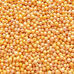 Natural Color Pearlized Orange NonPareils/ 100’s & 1000’s cake cupcake decorations