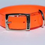 Rough Road Professional Grade Soft Grip and Poly Coated Nylon Webbing Dog Collar Great for Hunting Training Dog Trials comes in Multiple Colors (1″ x 18″, Orange)