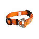 Ondoing Pet Nylon Dog Collar Adjustable-Available in 5 Colors Orange L