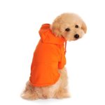 Idepet Dog Cat Hoodie Cotton Pet Coats Solid Color Clothing for Small Dogs Puppy Teddy Poodle Chihuahua (X Small, Orange)