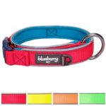 Blueberry Pet Soft & Comfortable Summer Hope 3M Reflective Thick Neoprene Padded Dog Collar, 4 Colors, Matching Harness Available Separately