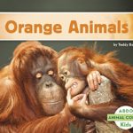 Orange Animals (Animal Colors)