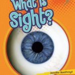 What Is Sight? (Lightning Bolt Books ™ — Your Amazing Senses)