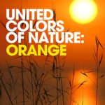 United Colors of Nature: Orange (Relaxing Spa Sounds for Massage, Wellness and Serenity)