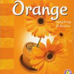 Orange (Colors Books)