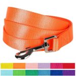Blueberry Pet 12 Colors Durable Classic Dog Leash 4 ft x 1″, Florence Orange, Large, Basic Nylon Leashes for Dogs