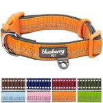 Blueberry Pet 8 Colors Soft & Comfy 3M Reflective Pastel Color Padded Dog Collar, Baby Orange, Medium, Neck 14.5″-20″, Adjustable Collars for Dogs