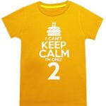 Color Changeable Little Boys’ Funny 2nd Birthday Gift Cake T-Shirt (2T, Orange)