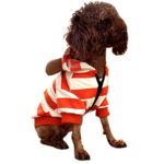 Alfie Pet by Petoga Couture – Mina Grizzlie Hoodie – Color: Orange, Size: Small