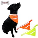 Doglemi High Visivility Safety Dog Scarf Pet Bandana with Reflecting Neon Color (Orange, L)