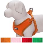 Blueberry Pet 4 Colors Better Basic Dog Harness Vest, Orange Fusion, Chest Girth 17″ – 21″