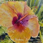 Flowers in Watercolor, Painting the Orange Hibiscus by Ross Barbera