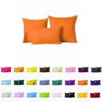 Decorative Pillows Cover/Cushion Case (18″x18″, Pumpkin Orange)