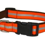 Sassy Dog Wear 18-28-Inch Reflective Orange Dog Collar, Large