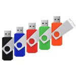 RAOYI 5PCS 8GB USB 2.0 Flash Drive Thumb Drive 8g Memory Stick Bulk Pen Drive Swivel Design(5 Mixed Colors:Black Blue Red Green Orange)