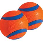 Chuck It Ultra Ball, Large/Grande, Orange color