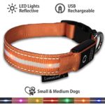 Holiday Sales!!! Illuminating LED Dog Collar, Sunset Orange, Small [Dog Party Costume] [HOLIDAY Dog Gift], 7 Colors,Light up Flashing Collar, USB Charging, Reflective, Safety Night Walk