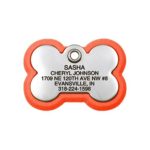 LuckyPet Pet ID Tag – Bone Frame Tag – Rugged Dog Tags with Colorful Frame – Custom Engraved Size: Large, Color: Neon Orange & Stainless