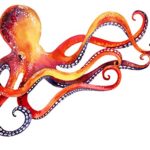 Orange Red Dancing Watercolor Paint Octopus Vinyl Decal Sticker (4″ Wide)
