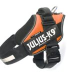 Julius-K9 IDC-Powerharness With Reflective Julius-K9 Labels Dog Harness – Custom labels available – soft yet very strong, renowned for the comfort and fit – easy on – no pull harness – 15 colors in 8 fully adjustable sizes for the perfect fit – widely used in Europe by K9 atheletes, service dogs, working dogs and security dogs