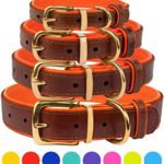 CollarDirect Leather Dog Collar Brass Buckle Soft Padded Puppy Small Medium Large Red Pink Blue Green Purple Yellow (Neck Fit 12″-14″, Orange)