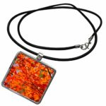3dRose Alexis Photography – Seasons Autumn – Red and orange foliage, colors of autumn – Necklace With Pendant