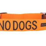 NO DOGS Orange Color Coded S-M L-XL Buckle Dog Collar (Not Good With Other Dogs) PREVENTS Accidents By Warning Others of Your Dog in Advance (L-XL Collar 15-25″Lx1.5″W)