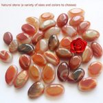 Youngyang Colored stone 1lb,Ornamental stone for fish tank,Potting stone,Natural pebbles(Multiple color and size options) (Orange red1.2~1.6in)