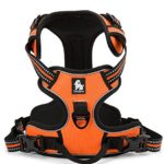 Best Front Range No-Pull Dog Harness. 3M Reflective Outdoor Adventure Pet Vest with Handle. 3 Stylish Colors and 5 Sizes.