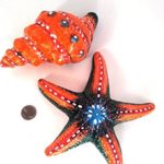 Orange Mexican Talavera Starfish and Shell Set (Estrella del Mar y Concha) for hanging or placing indoor or outdoors.