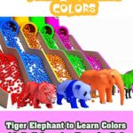 Tiger Elephant to Learn Colors with Ball Surprise Eggs for Baby