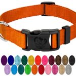 Country Brook Petz | Vibrant 21 Color Selection | Deluxe Nylon Dog Collar (Orange, Extra Small, 5/8 Inch Wide)