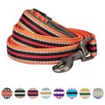 Blueberry Pet 8 Colors 3M Reflective Multi-colored Stripe Dog Leash with Soft & Comfortable Handle, 5 ft x 3/4″, Orange & Black, Medium, Leashes for Dogs