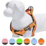 Blueberry Pet 4 Colors Soft & Comfy 3M Reflective Step-in Pastel Color Padded Dog Harness, Chest Girth 15.5″ – 19.5″, Baby Orange, Small, Adjustable Harnesses for Dogs