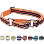 Blueberry Pet 8 Colors 3M Reflective Multi-Colored Stripe Safety Training Martingale Dog Collar, Orange and Black, Large, Heavy Duty Adjustable Collars for Dogs