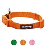Blueberry Pet 6 Colors Better Basic Dog Collar, Orange Fusion, Small, Neck 12″-16″, Adjustable Collars for Dogs
