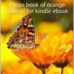 It’s Orange Flowers How Beautiful Colors They Are?: Photo book of orange flowers for kindle ebook