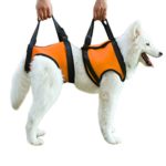 Alfie Pet by Petoga Couture – Harrison Support & Rehabilitation Lifting Harness Front and Rear Set – Color: Orange, Size: Medium