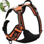 OLizee New Front Range No Pull Dog Harness Outdoor Adventure 3M Reflective Pet Vest with Handle Adjustable Protective Nylon Walking Pet Harness Variety of Sizes and Colors,Orange M
