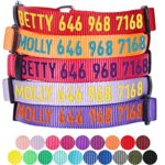 Blueberry Pet 19 Colors Personalized Safety Training Martingale Dog Collar, Florence Orange, Medium, Adjustable Customized ID Collars for Medium Dogs Embroidered with Pet Name & Phone Number