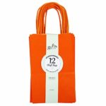 12CT SMALL ORANGE BIODEGRADABLE, FOOD SAFE INK & PAPER, PREMIUM QUALITY PAPER (STURDY & THICKER), KRAFT BAG WITH COLORED STURDY HANDLE