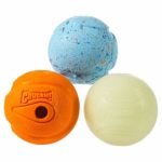 Chuckit! Fetch Medley 3 Unique Balls Medium Multicolor